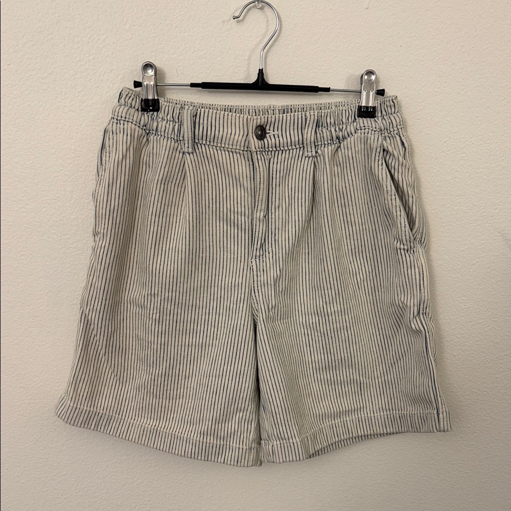 Aerie Striped Blue and White Shorts